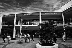 shop