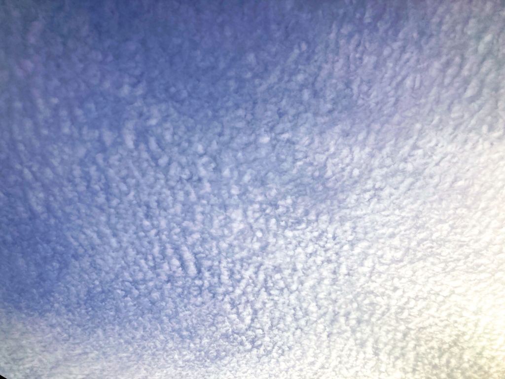「冬雲」