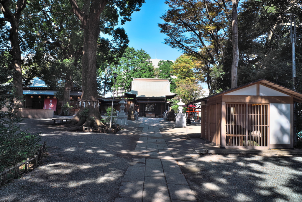 杉山神社