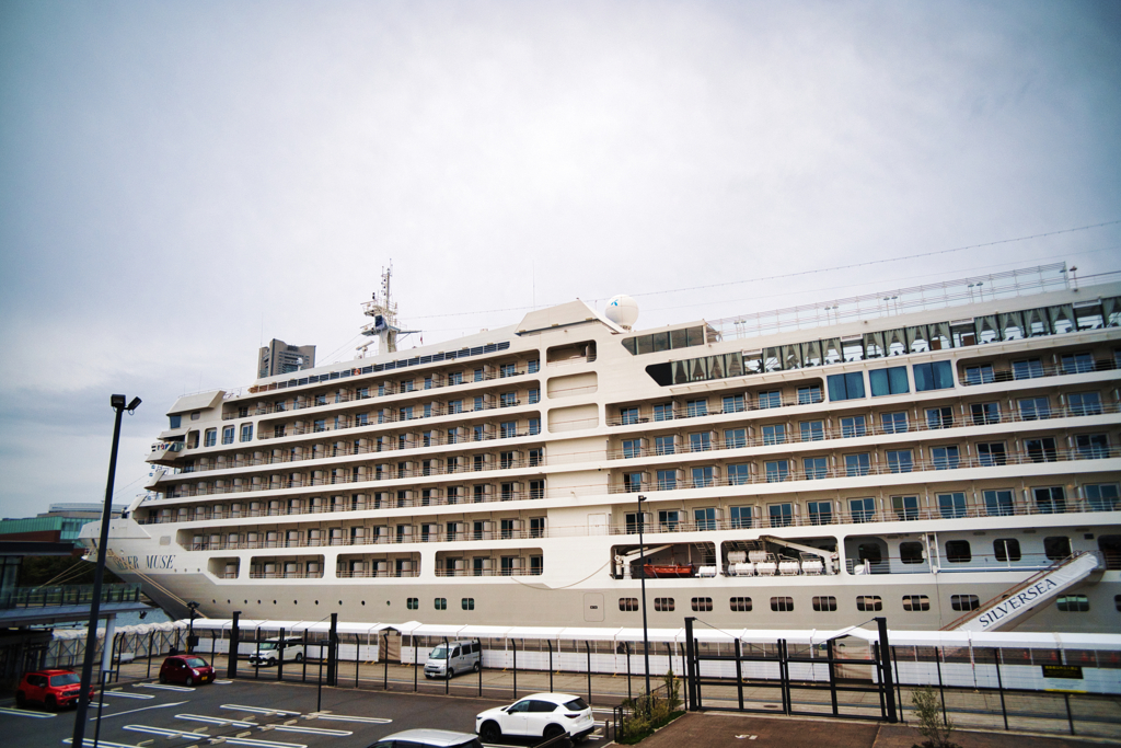 シルバーミューズを追い求めて