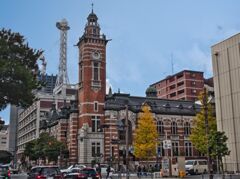 横浜市開港記念会館と黄葉