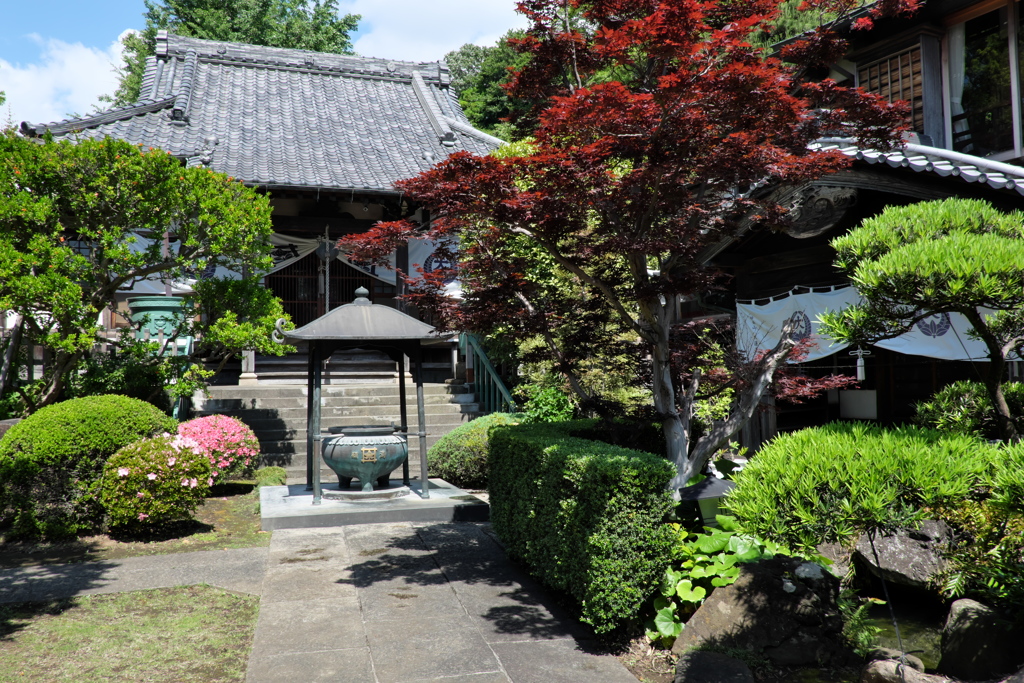 歴史の道「大蓮寺③」