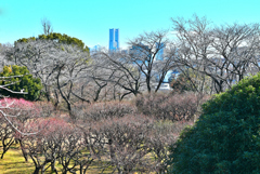 梅園と横浜ランドマークタワー