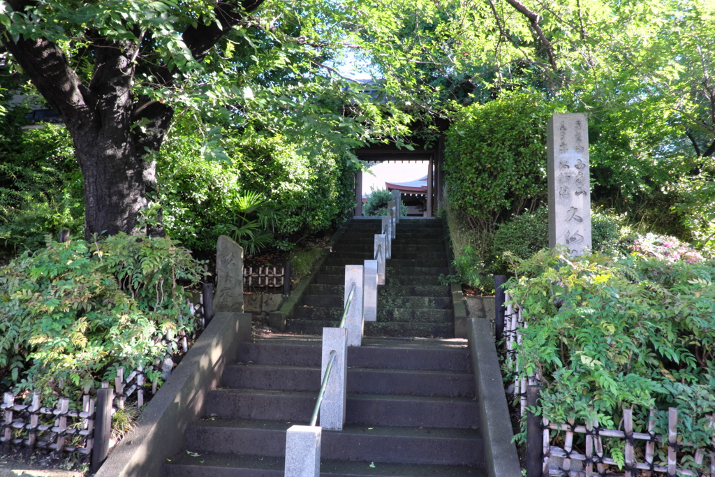 歴史の道「大仙寺➀」