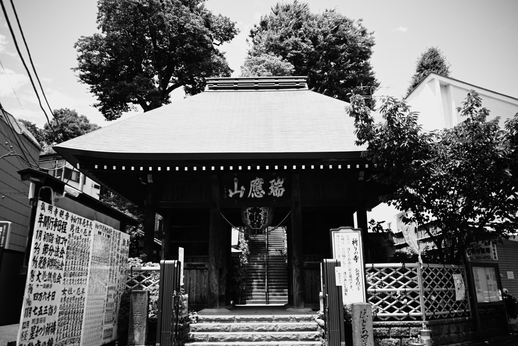 Street Snap