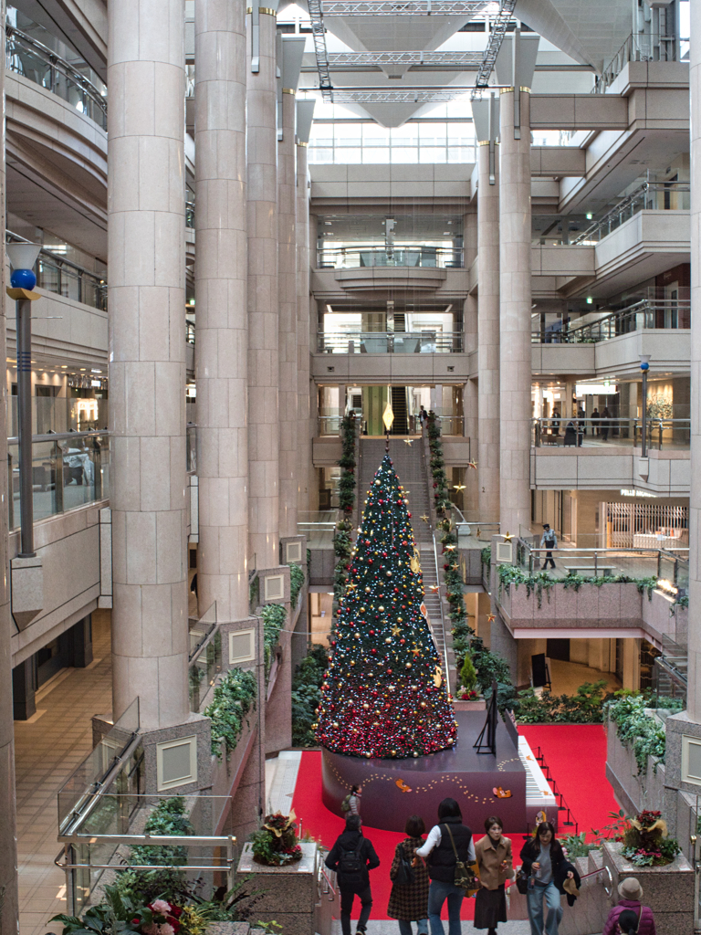 ビル内とツリー