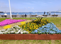 花の園