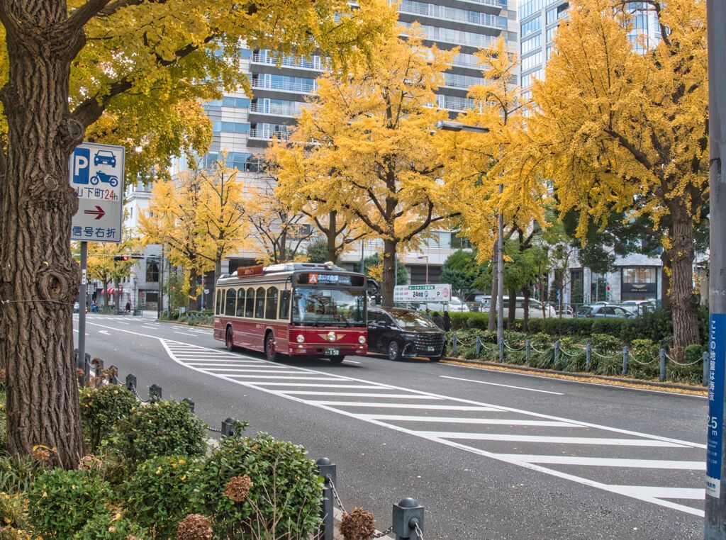 あかいくつ号と紅葉