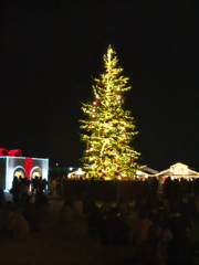 クリスマスツリー