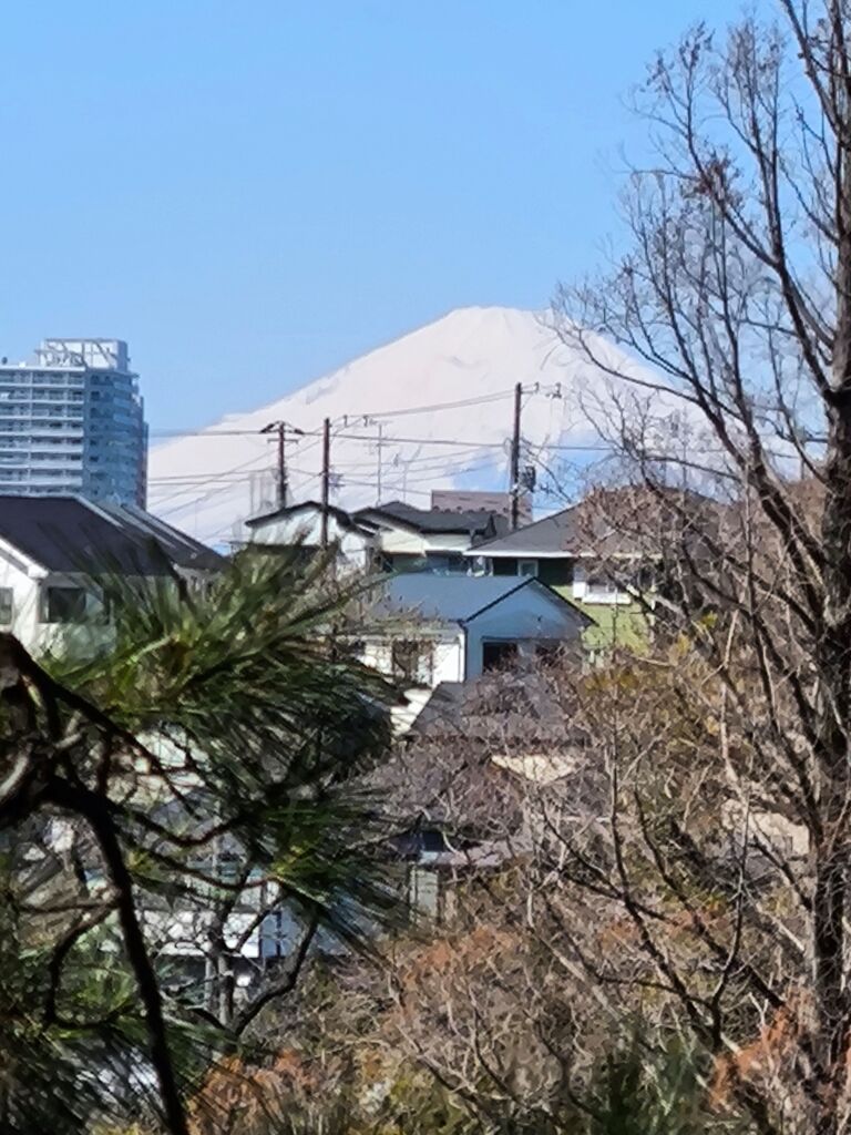富士山