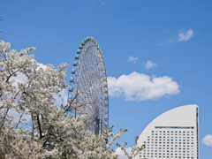 みなとみらい