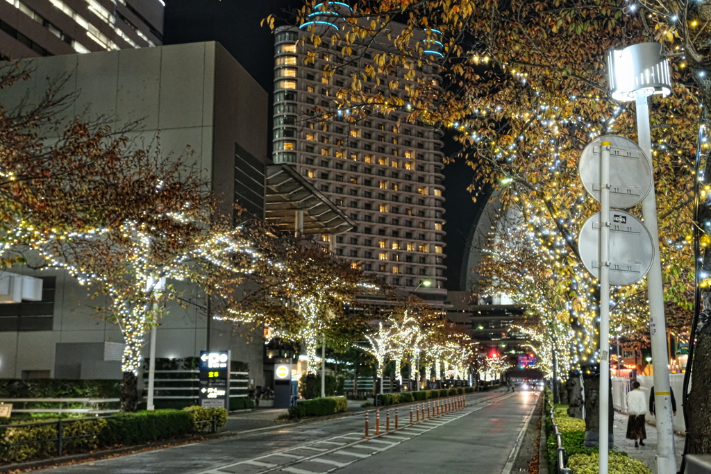 夜景