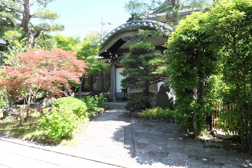 歴史の道「遍照寺④」