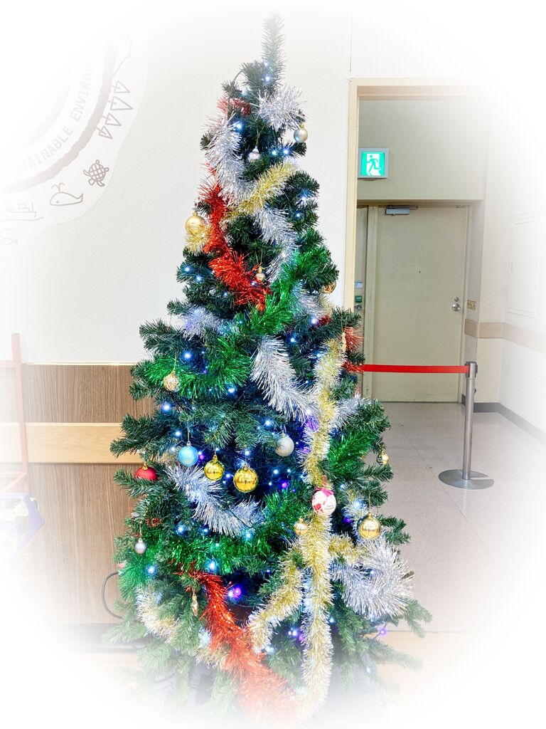 早や、ツリーが、、、