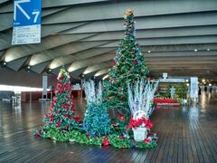 大桟橋構内のツリー