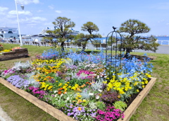 花の園