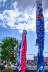 端午の節句「鯉のぼり」