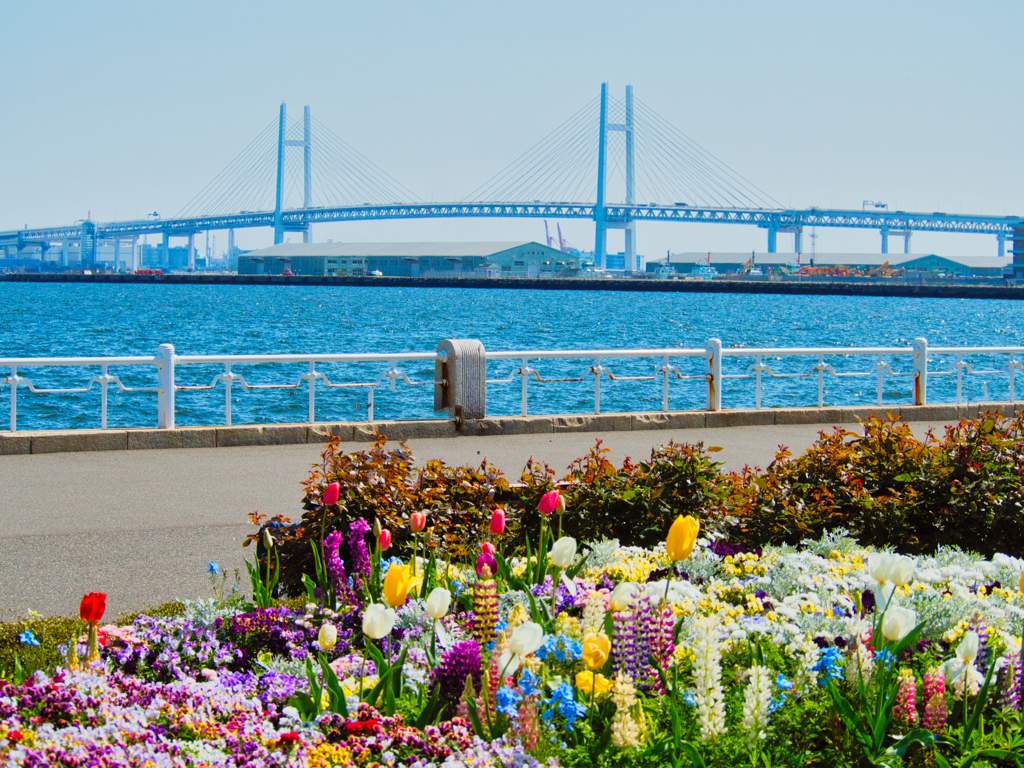 ベイブリッジを背景に