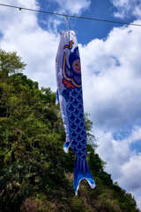 端午の節句「鯉のぼり」