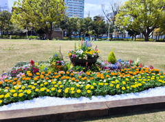 花の園