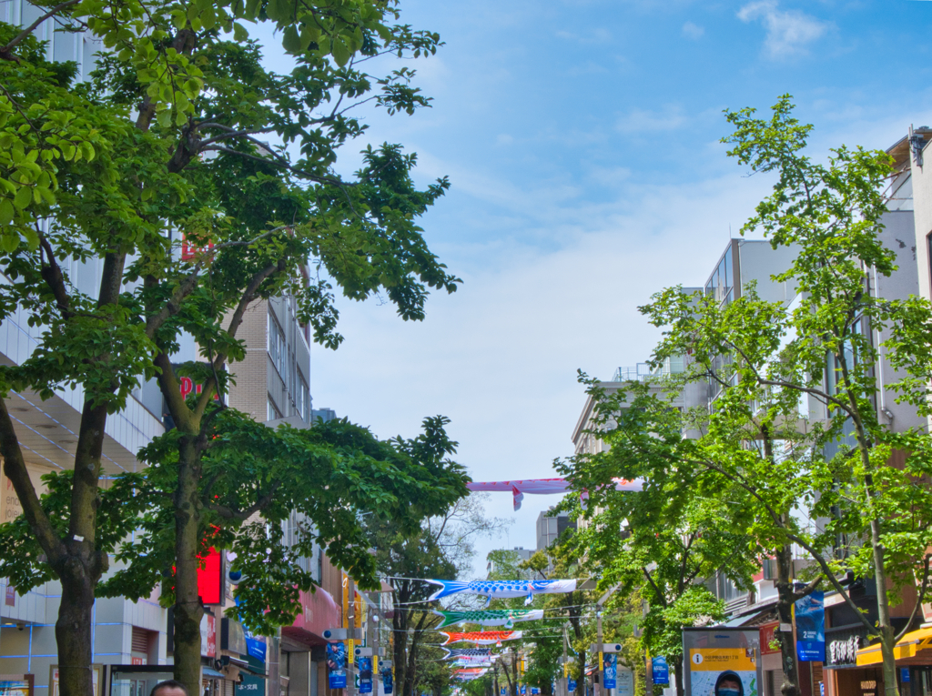 Street Snap