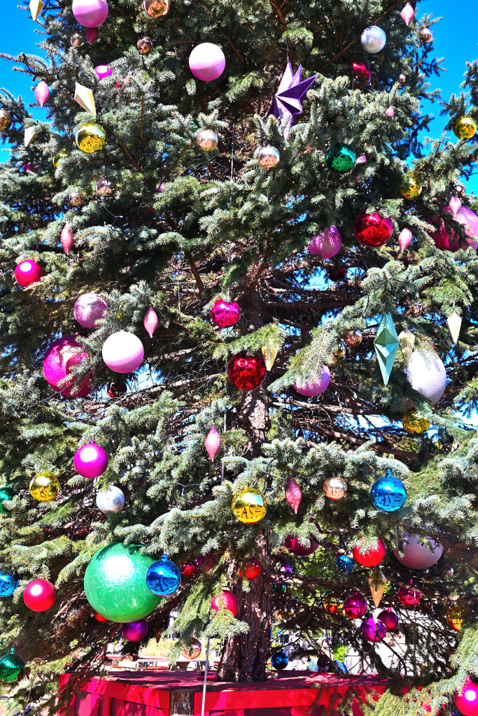 クリスマスツリー