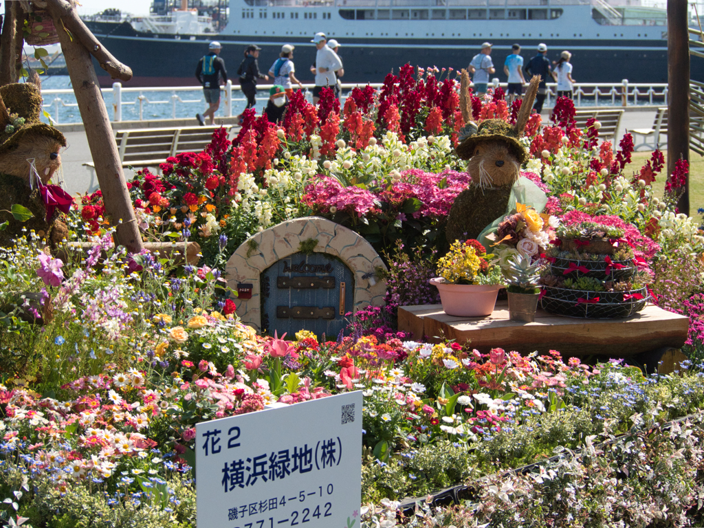 ビーバーとお花達