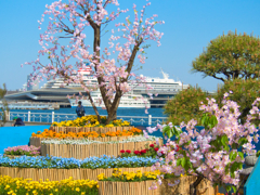 横浜大桟橋を背景に