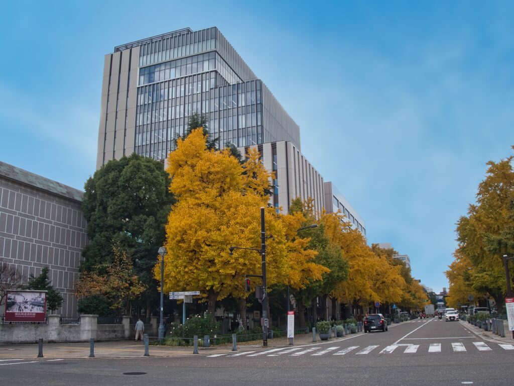 日本大通りの紅葉