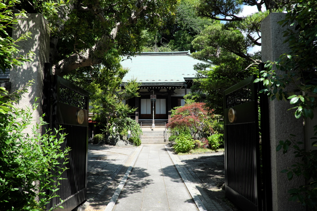 歴史の道「遍照寺③」