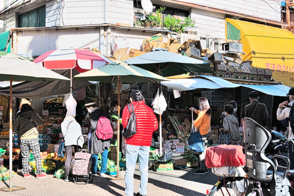 ダンボール八百屋 !