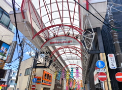Street Snap