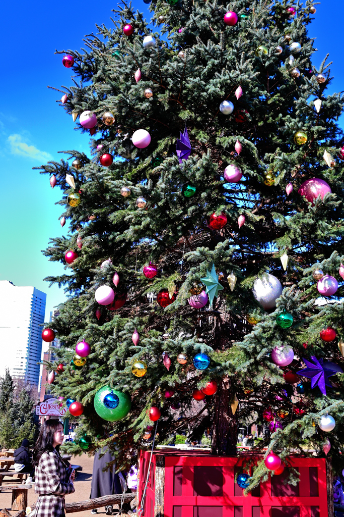 メリークリスマス！