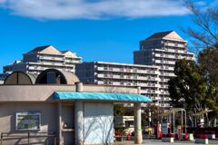 ピラミッド風、、、