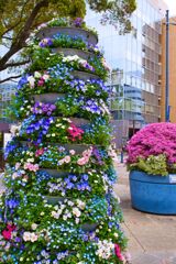 フラワースタンド