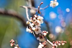 まだまだこれから