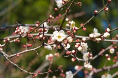 まだまだこれから