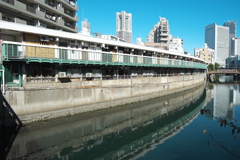 ハーモニカ横丁