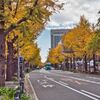 山下公園通りの紅葉