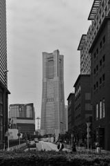 Street Snap