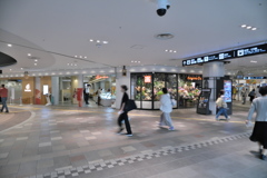 Street Snap