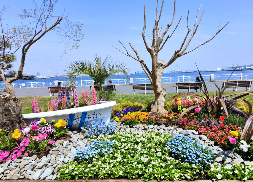 花の園