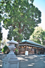 杉山神社