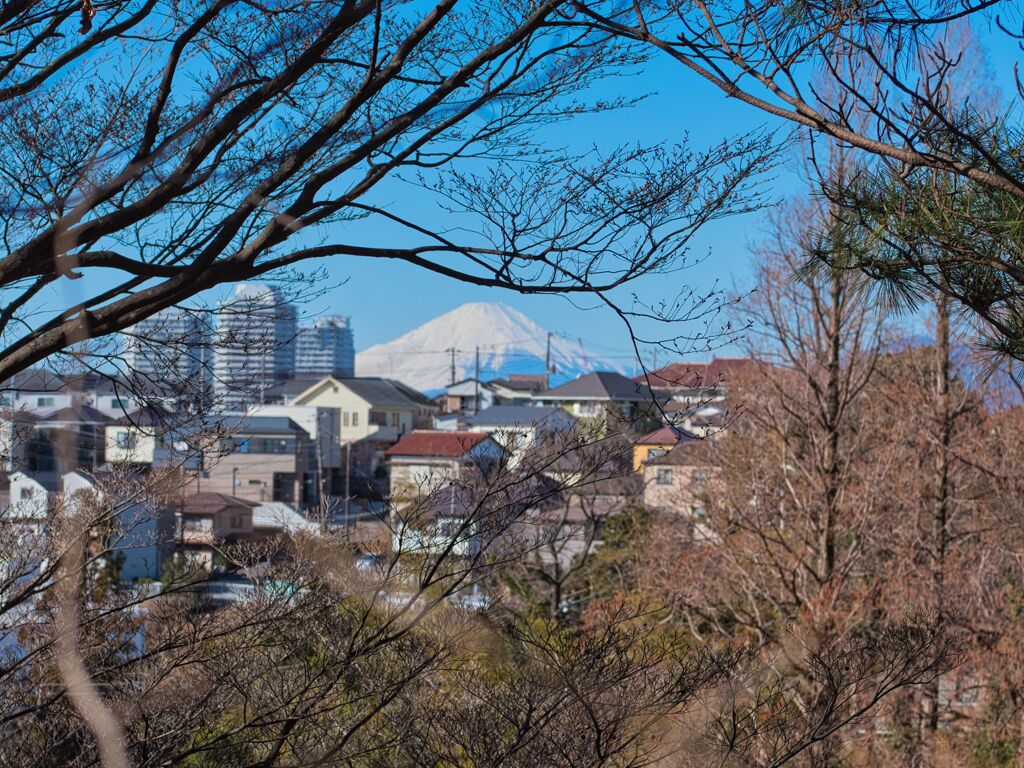 富士山