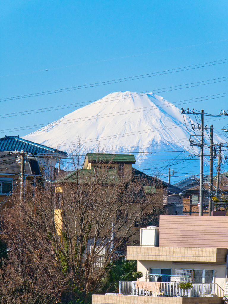 今日の富士山