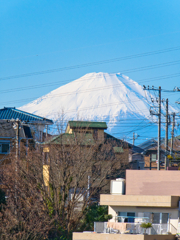 今日の富士山