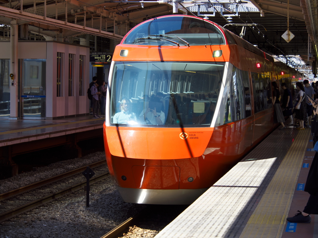 今日も、人気者 !