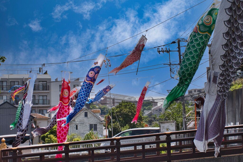 鯉のぼり