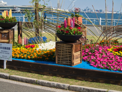 港の花壇