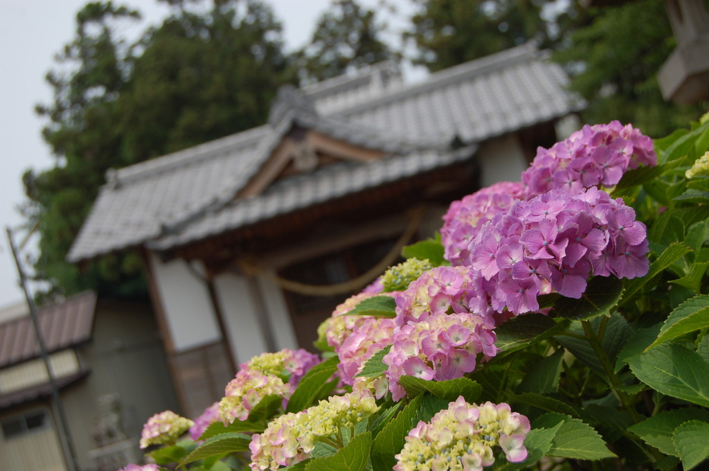 生品神社